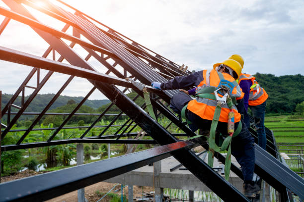 Best Roof Repair Services  in Reedurban, OH