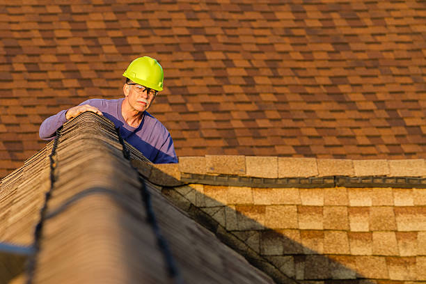 Best Roof Gutter Cleaning  in Reedurban, OH